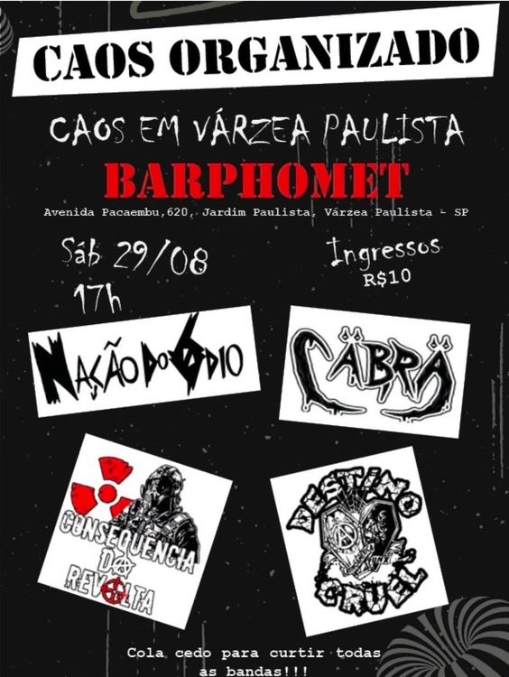 Caos Organizado